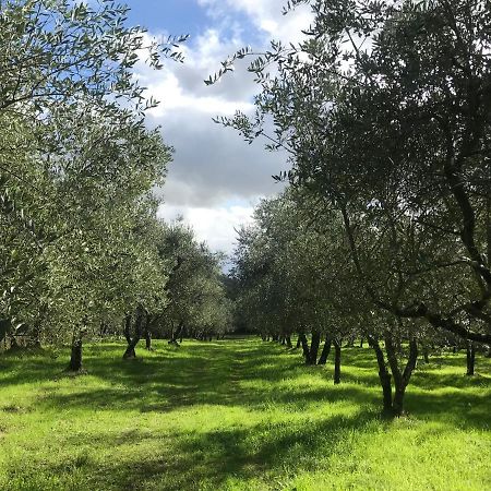 Troghi Agriturismo Podere I' Caldino מראה חיצוני תמונה