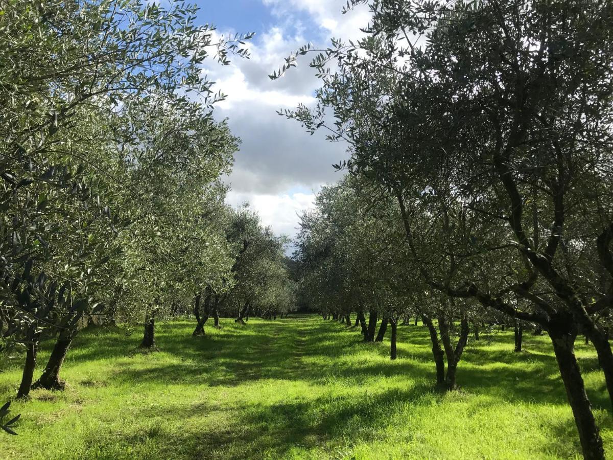 Troghi Agriturismo Podere I' Caldino מראה חיצוני תמונה