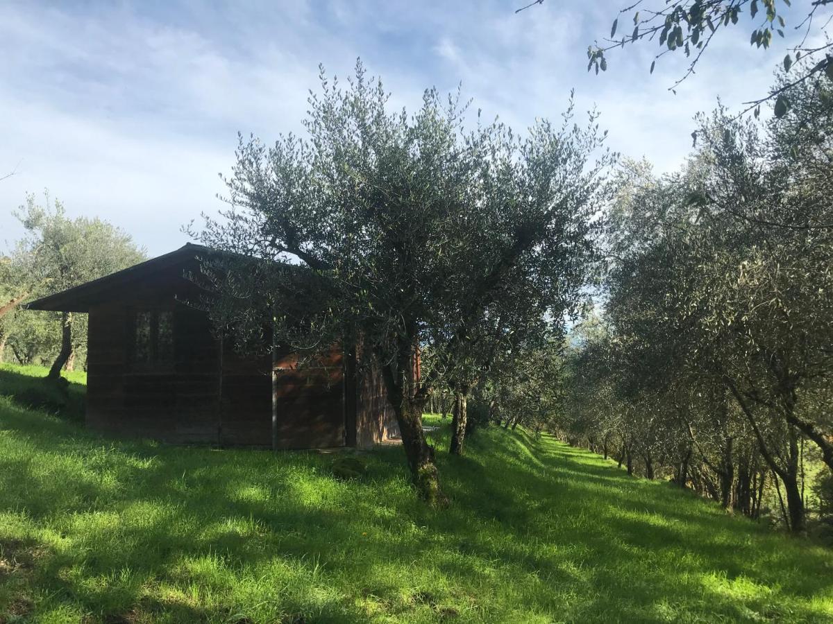 Troghi Agriturismo Podere I' Caldino מראה חיצוני תמונה